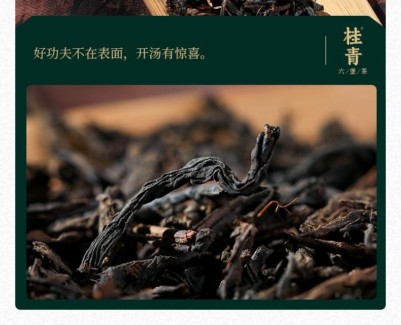  小師姐評茶【美國現貨秒發】 2018年六堡茶茶包 黑茉莉 老樹群種 非遺雙蒸雙壓製程 木板乾倉醇化 樟香蜜韻 滋味醇厚 祛濕避暑 促進代謝 40克(10包)