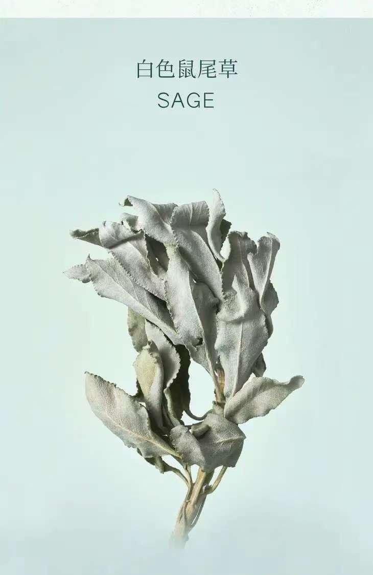 Purifying Incense Sticks Oriental Herbal Scent 21cm*30 Pieces