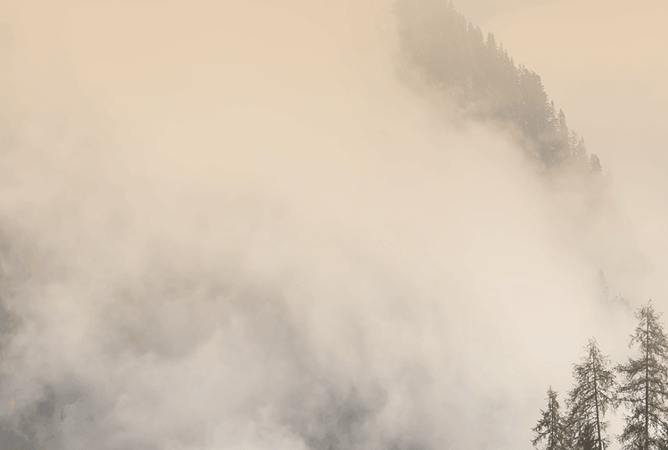 Sulfur-free large slices of original cut Gansu astragalus 200g