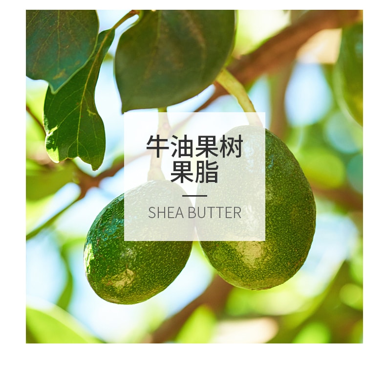 【中國直郵】安安 皴裂膏護手霜爆拆靈裂可寧防裂腳後跟乾裂手裂保濕霜皸裂膏 手裂靈38g/罐