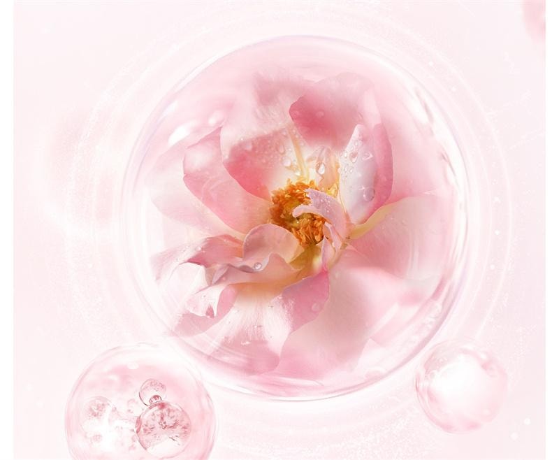 【中国直邮】 半亩花田 鲜花纯露洗发水香蓬瓶控油蓬松清洁洗护 【轻盈蓬松】洗发水500g