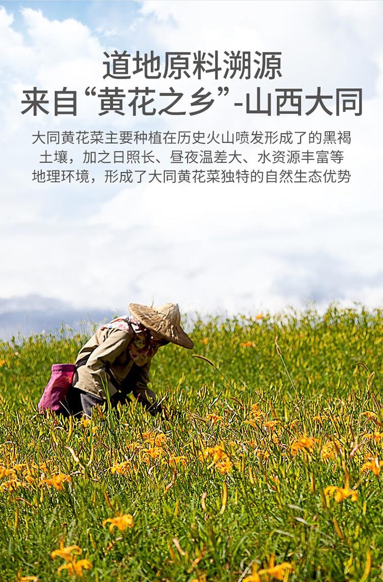 【中國直郵】 方家鋪子 中華老字號 山西大同黃花菜200g 金針菜乾煲湯配菜