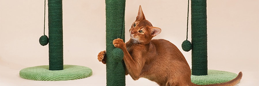 ZEZE 立式仙人掌猫抓板猫抓柱 耐磨不掉屑 网红同款 猫玩具猫咪用品 35*35*65cm