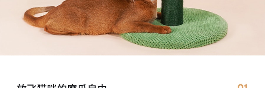 ZEZE 直立式仙人掌貓抓板貓抓柱 耐磨不掉屑 網紅同款 貓咪玩具貓咪用品 35*35*65cm