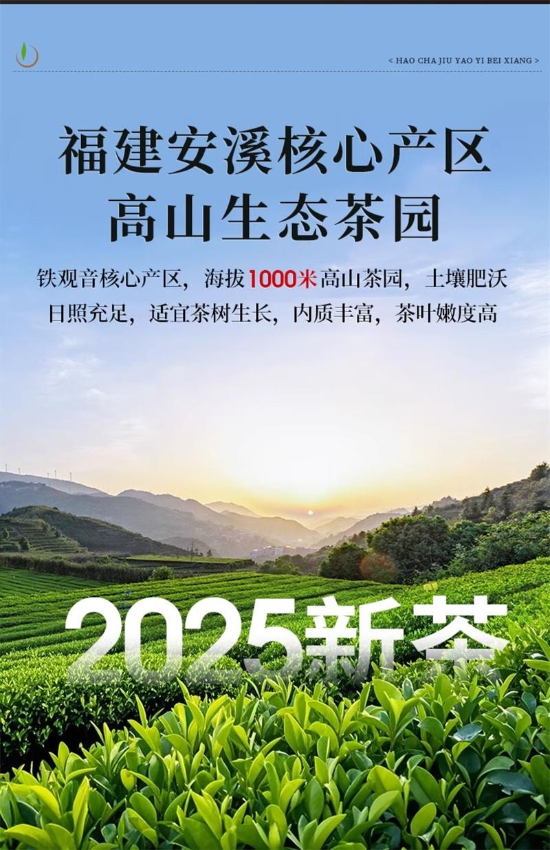 【中国直邮】一杯香 2025新茶安溪铁观音乌龙茶茶叶250g*2罐正品