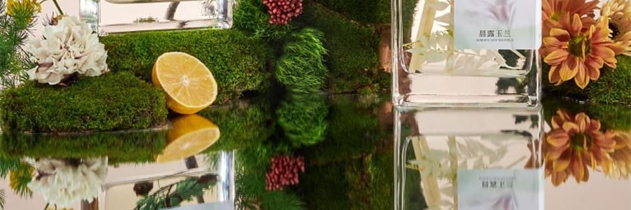 宋朝 自然萬物系列無火香薰 臥室家用室內持久香氛 晨露玉蘭 大容量500ml