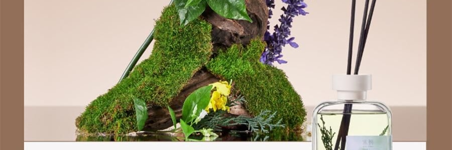 宋朝 自然萬物系列無火香薰 臥室家用室內持久香氛 晨露玉蘭 大容量500ml