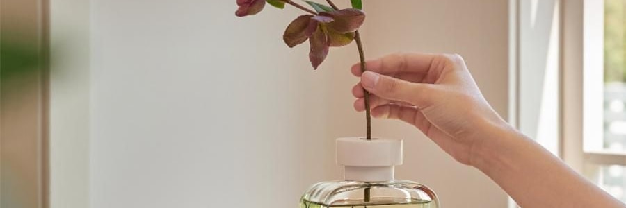 宋朝 自然萬物系列無火香薰 臥室家用室內持久香氛 晨露玉蘭 大容量500ml