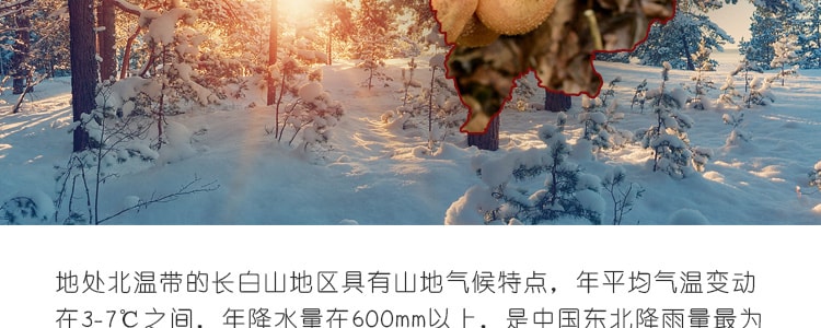 【特惠】吉美 长白山野生天然榛蘑 250g