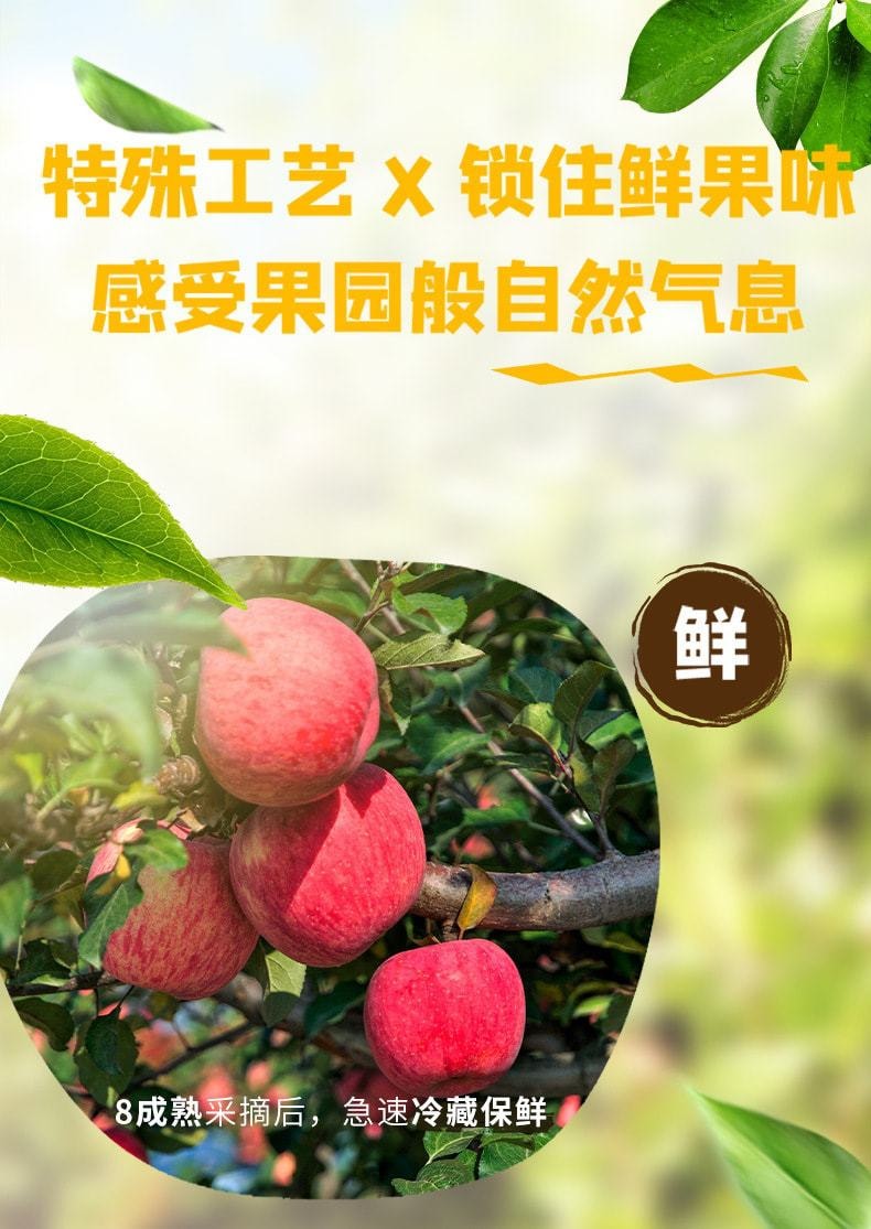 中国 百草味 苹果干爱上酸甜果园的味道50g/袋
