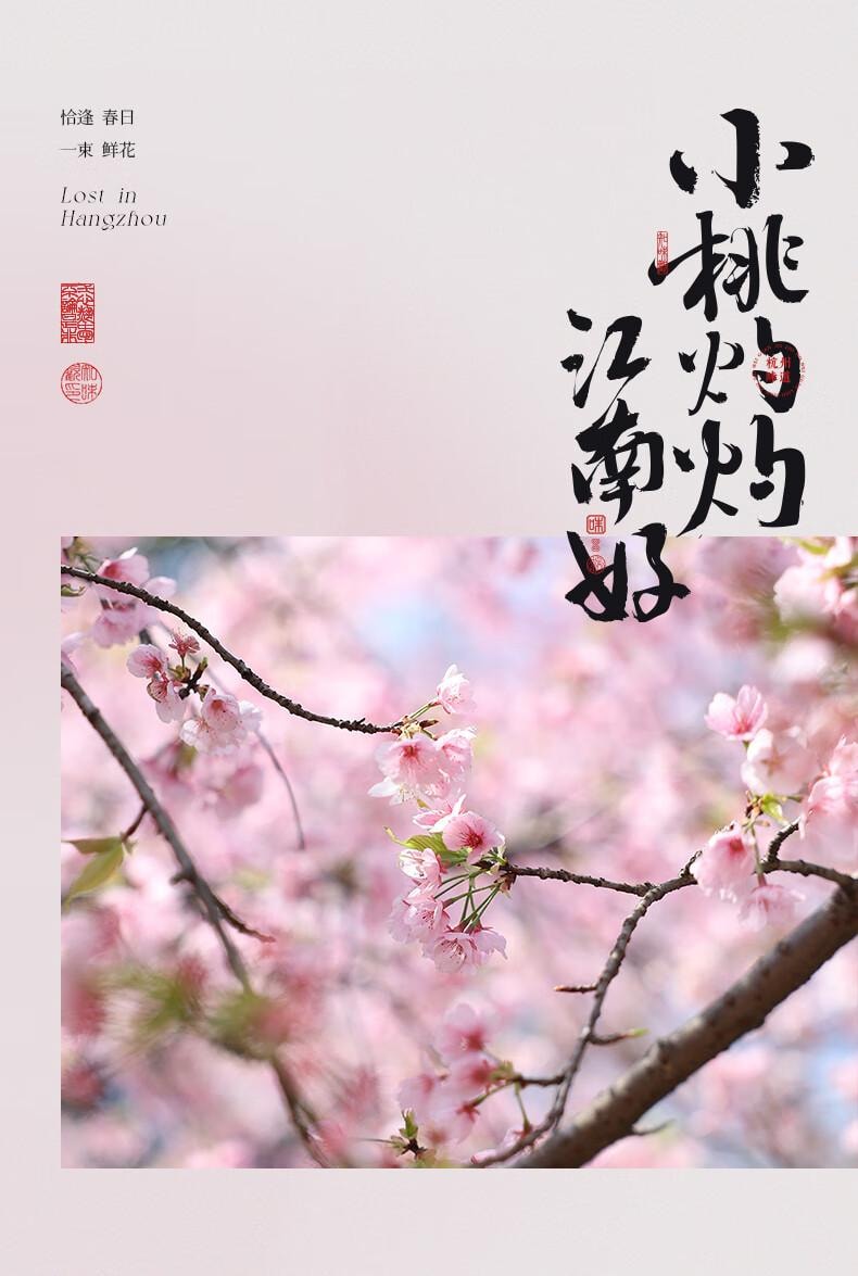 【中国直邮】 知味观 桃花酥山楂馅 杭州中式糕点  零食160g