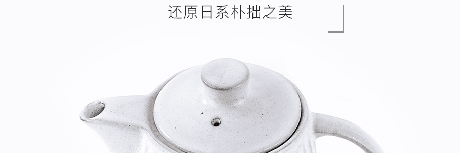 日本NITORI尼达利 罗马系列 复古粗陶泡茶壶 附茶篮 550ml  可用于微波炉洗碗机