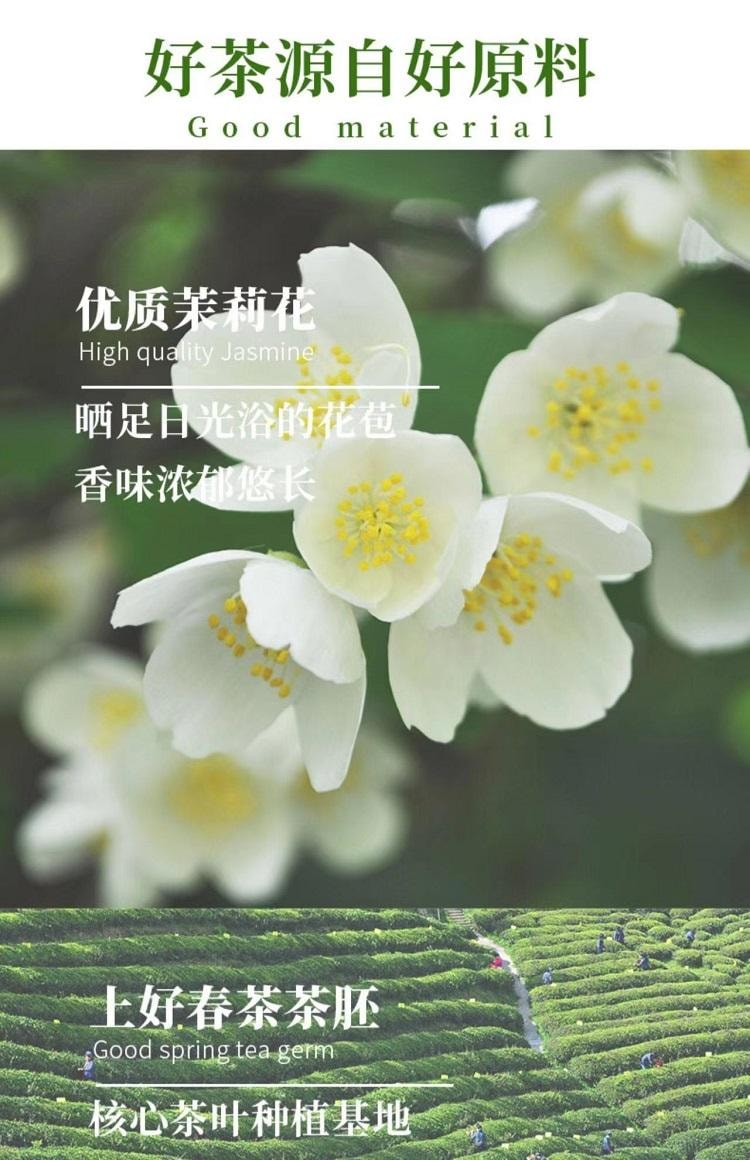 Classic Jasmine Tea Bags 50g