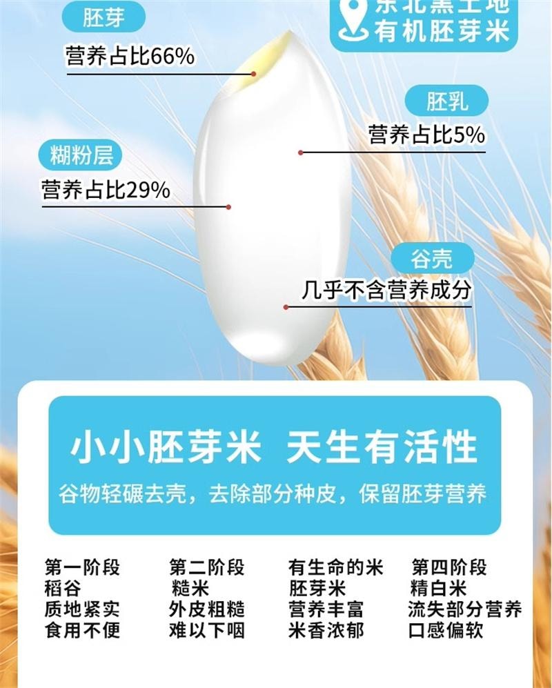 【中国直邮】 福东海 山药燕麦粉 铁棍山药燕麦粉早餐懒人速食儿童燕麦粥米糊 400g