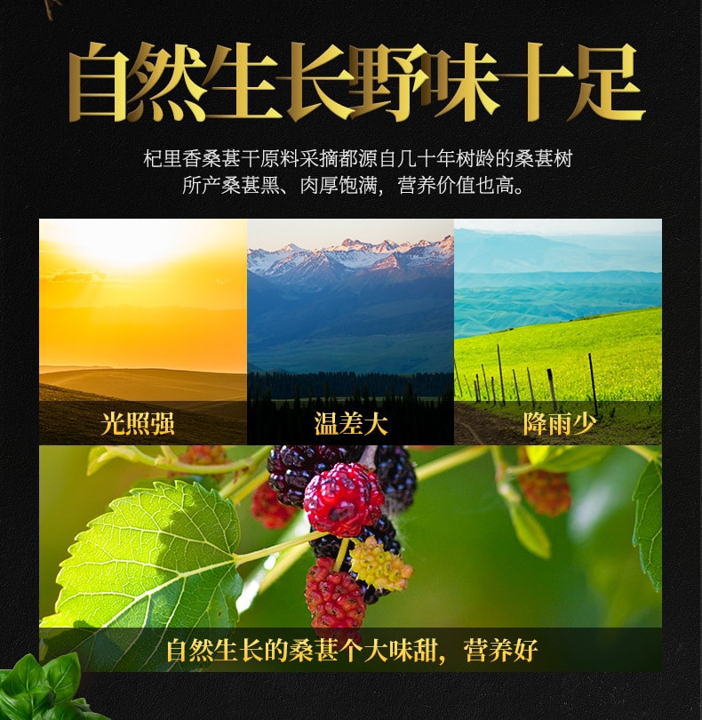 【中国直邮】杞里香 大味甜 营养好 黑桑葚干 非新鲜干果配黑枸杞泡水泡茶 200g