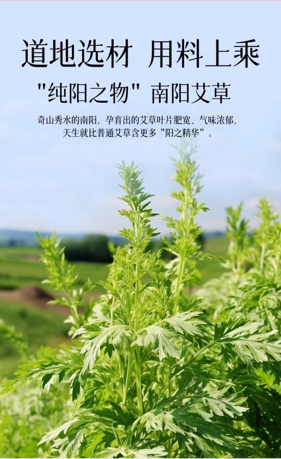 【中国直邮】 童涵春堂 【复旦大学旗下妇幼医院出品】红房子-参参艾暖腹贴女士暖宫驱寒养生(5片/盒)*3盒自发热蒸汽暖护女生用大姨妈暖肚贴【双手呵护的温暖】