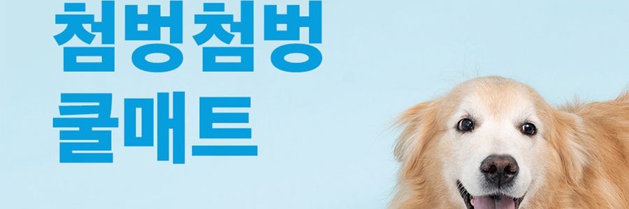 韩国BACON BOX 宠物冰垫凉席 夏季凉感凉爽地垫 L 40*70cm