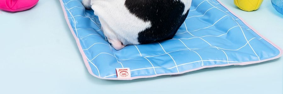 韩国BACON BOX 宠物冰垫凉席 夏季凉感凉爽地垫 L 40*70cm
