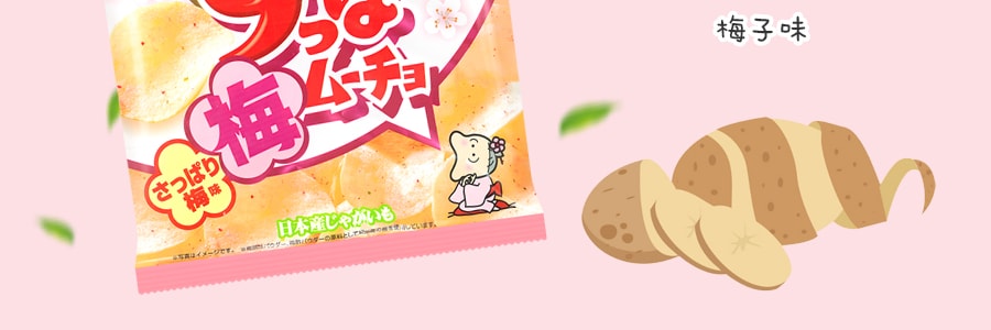 日本KOIKEYA湖池屋 馬鈴薯薯片 梅子味 55g