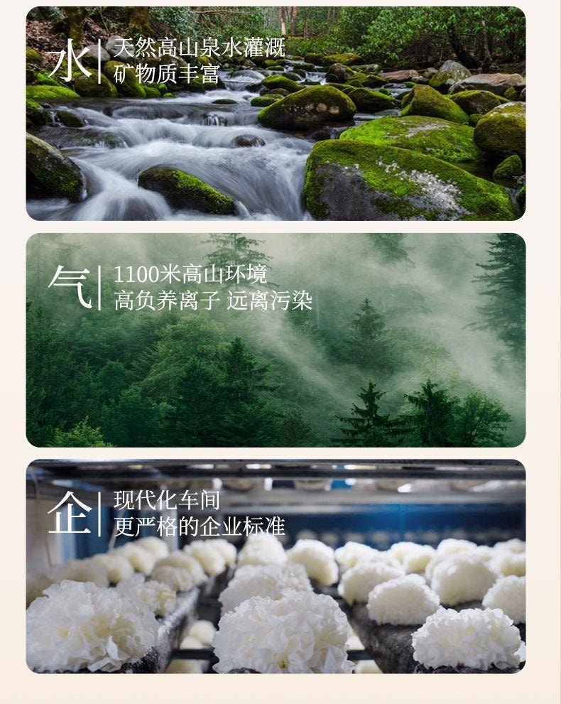 安诺有机银耳 80g 本草银耳羹免煮冲泡即食福建古田免洗银耳雪耳 破壁碎银耳低温破壁 出胶快 【2g一碗 十分钟快速银耳羹】可搭枸杞红枣莲子百合 送女友礼物金燕有机雪耳燕耳干货