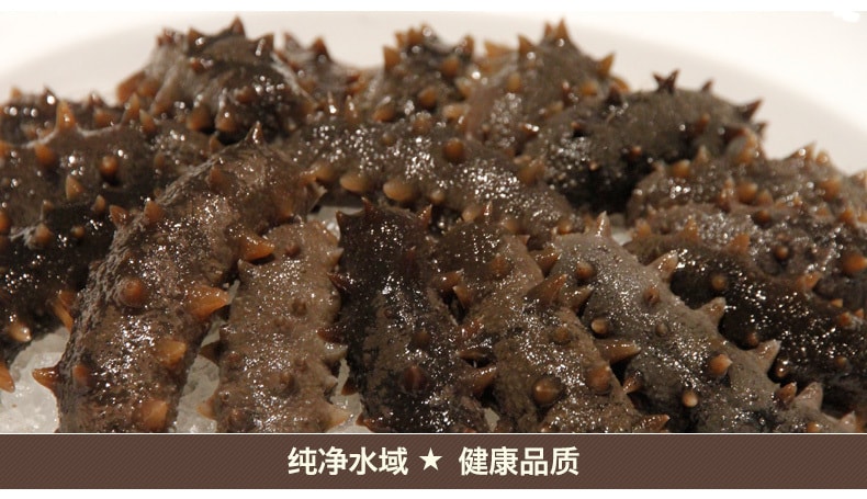 Dried Sea Cucumber Hai Shen 190g