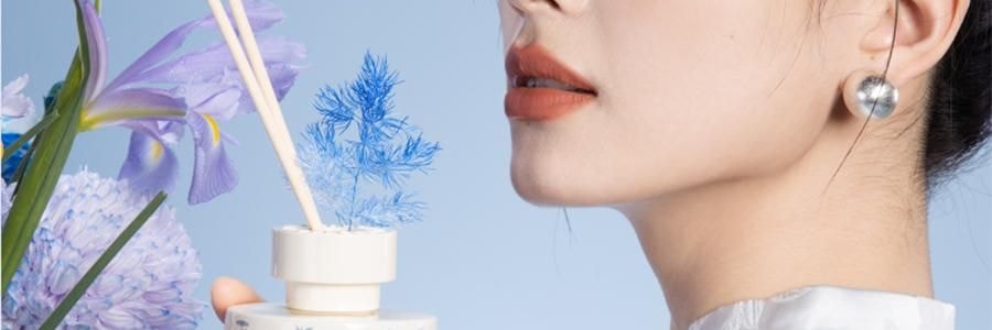 宋朝 西湖十景无火香薰 青花瓷器香氛 天然大豆蜡 芬芳疗愈 西湖龙井 120ml