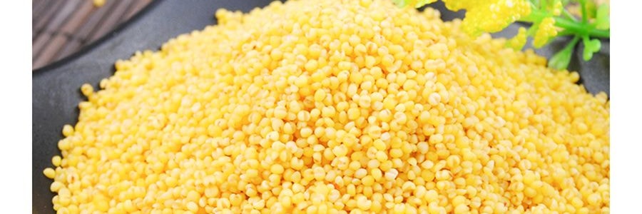 家鄉風味 綠色有機小米 454g USDA認證