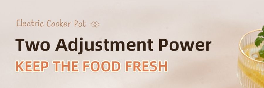 美國TAYAMA 電煮鍋 食物蒸籠一體鍋 多功能炒鍋小火鍋 一人食1.5L