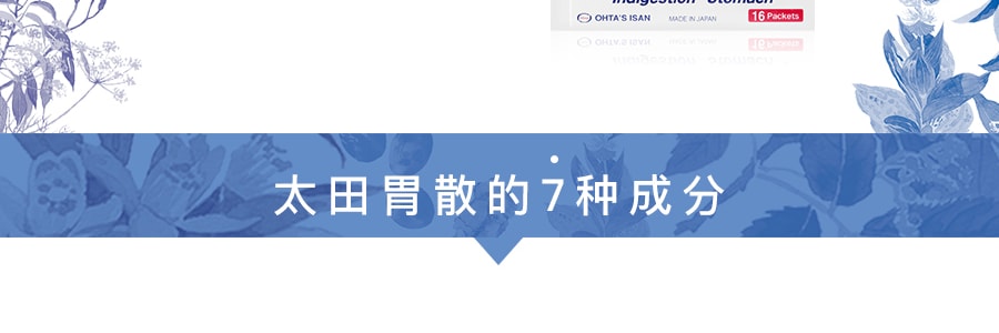 日本OHTA’S ISAN太田胃散 胃散粉剂 2包装 32包入 41g
