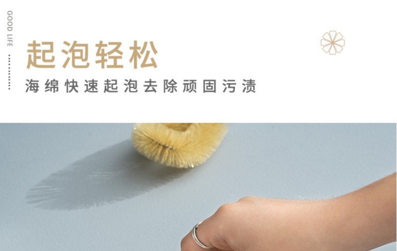 【中国直邮】 清野の木 带手柄可替换浴室瓷砖刷洗碗海绵擦清洁刷 2个