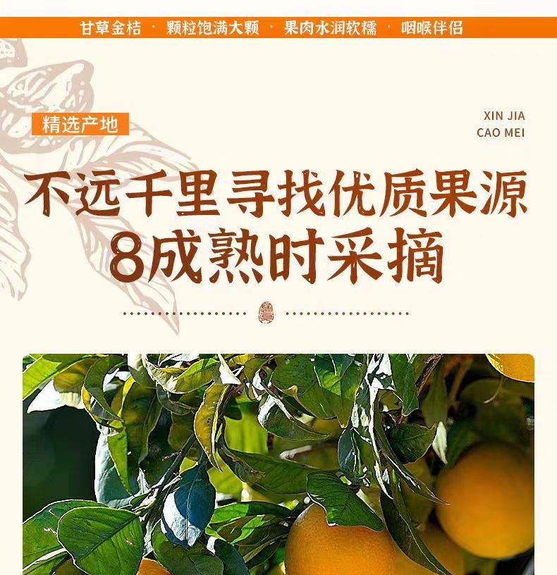 【中國直郵】 春江月 甘草金桔 健康蜜餞果脯 廣西特產 500g*1 罐