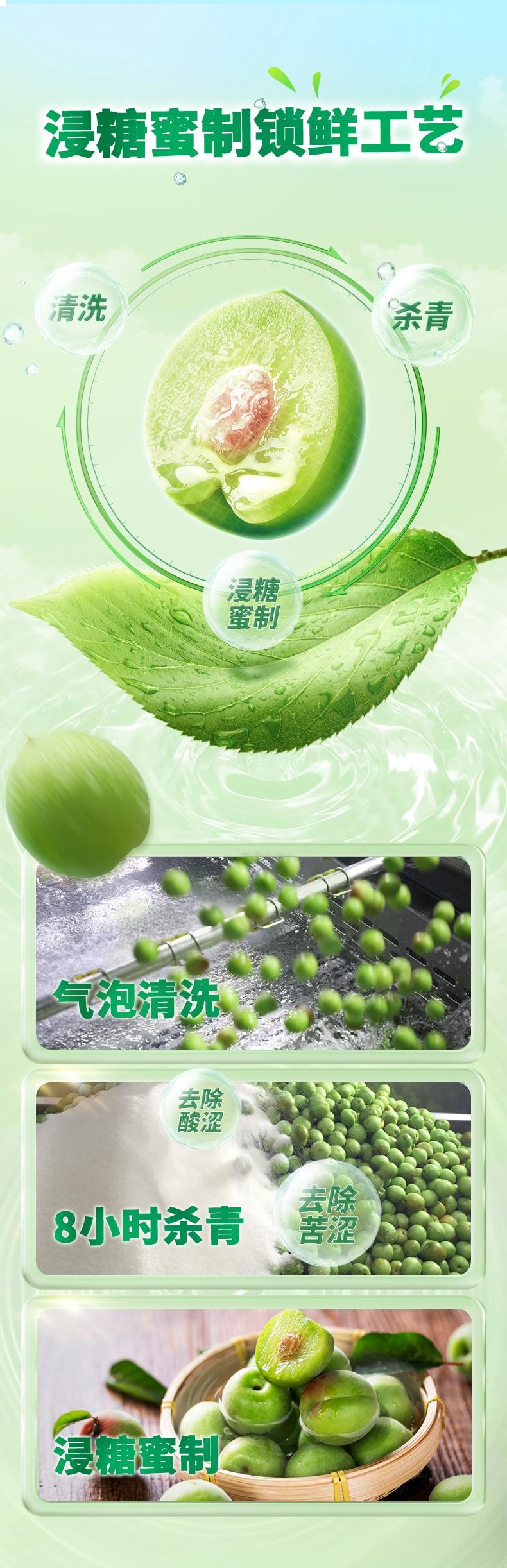 【中國直郵】 溜溜梅 脆青梅 蜜餞 休閒零食 酸甜 果酸 梅話 200g