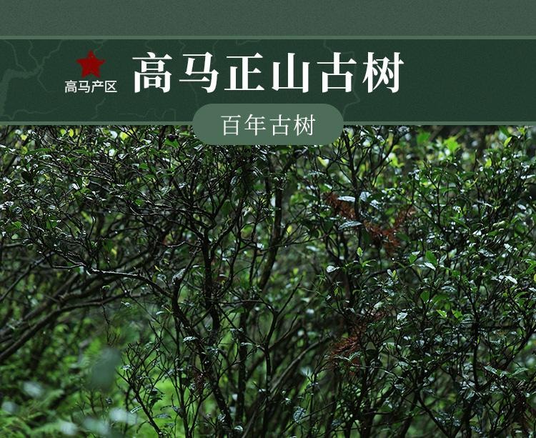 【美國現貨秒發】小師姐評茶 千兩茶餅高馬蒼卷 2019年安化黑茶茶葉 皇家貢茶 680克