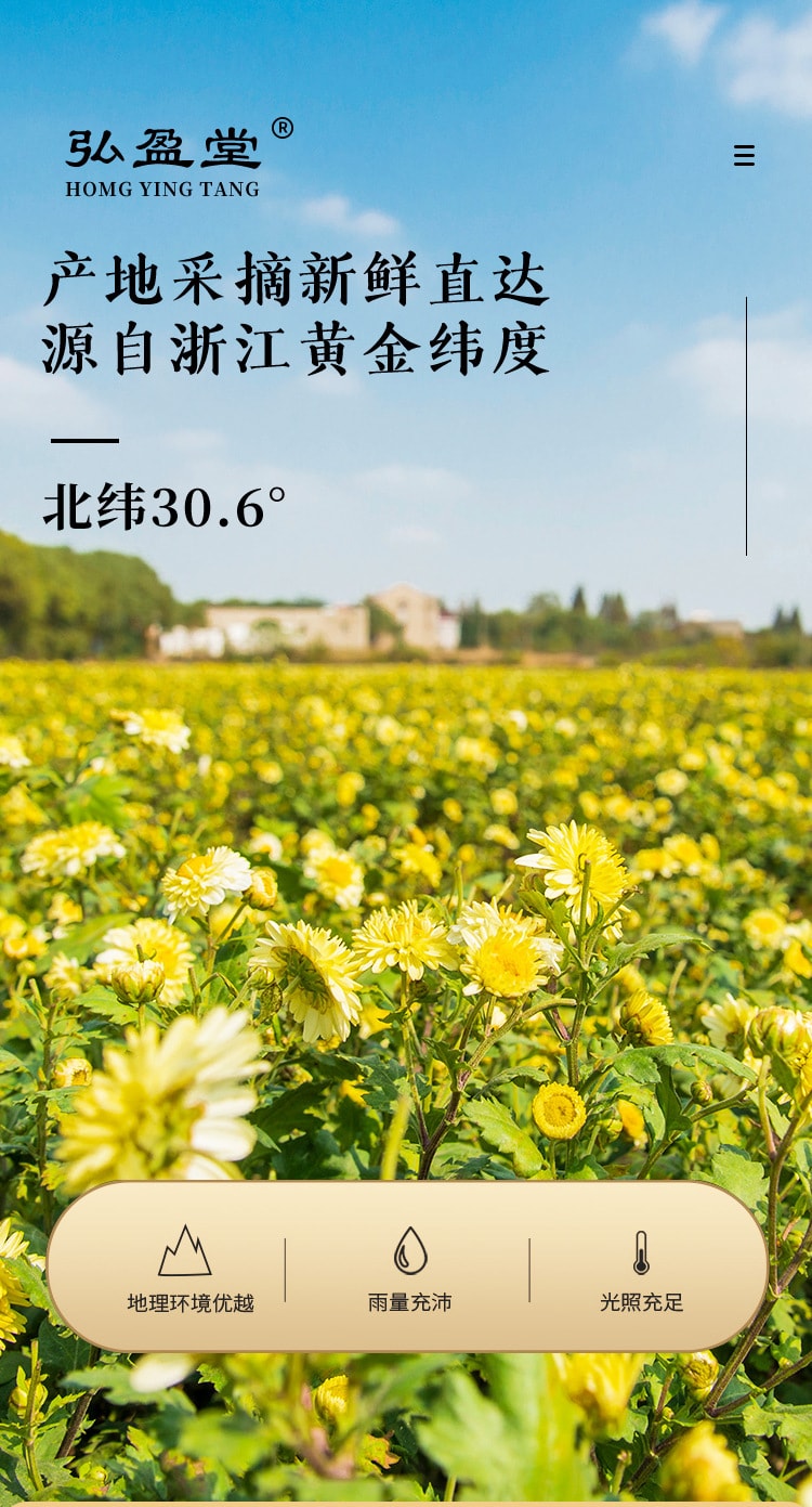  弘盈堂 胎菊 菊花茶 桐乡杭胎菊 养肝明目、补脾健胃、清心补肾 30g/罐装