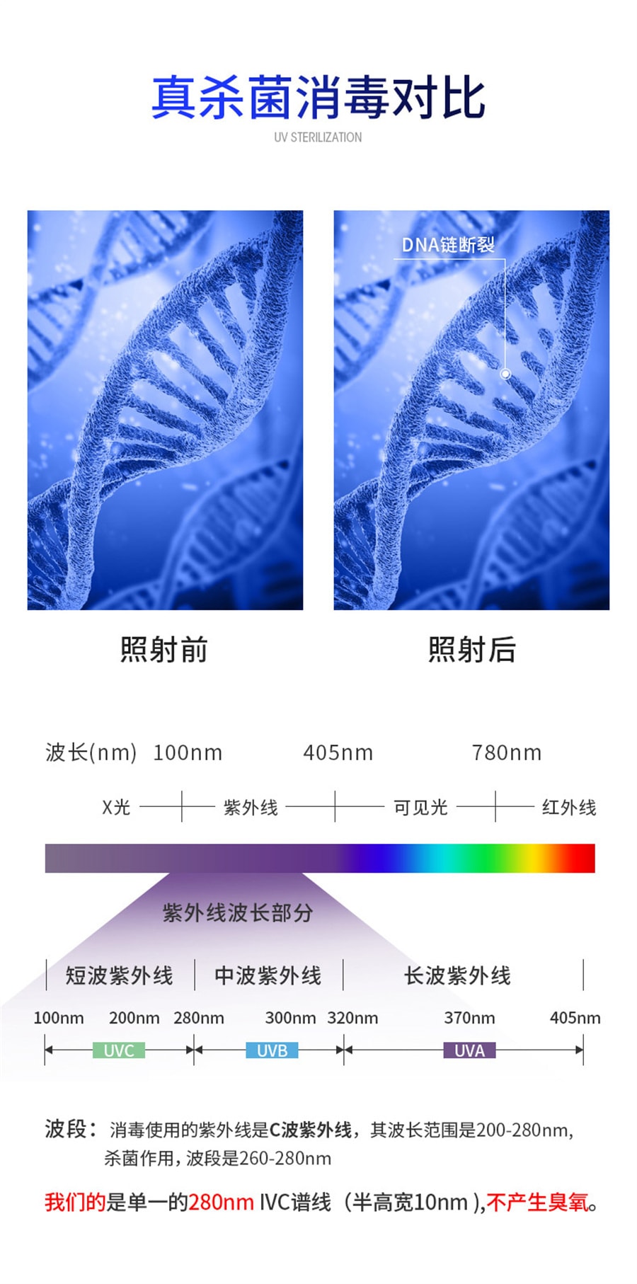 【中国直邮】 Puretta多功能牙刷消菌器 白色款
