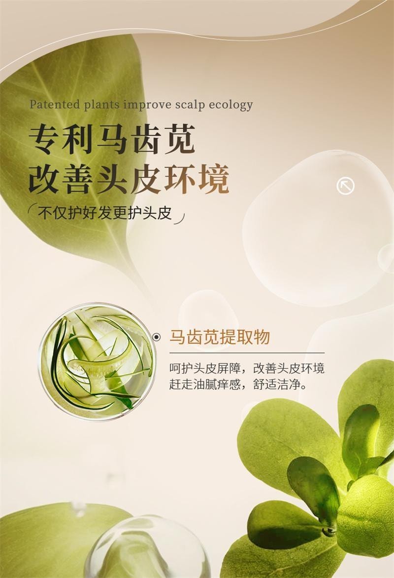 【中國直郵】 EHD 生薑洗髮精 蓬鬆柔順修護防斷護髮清爽男女 500ml/瓶