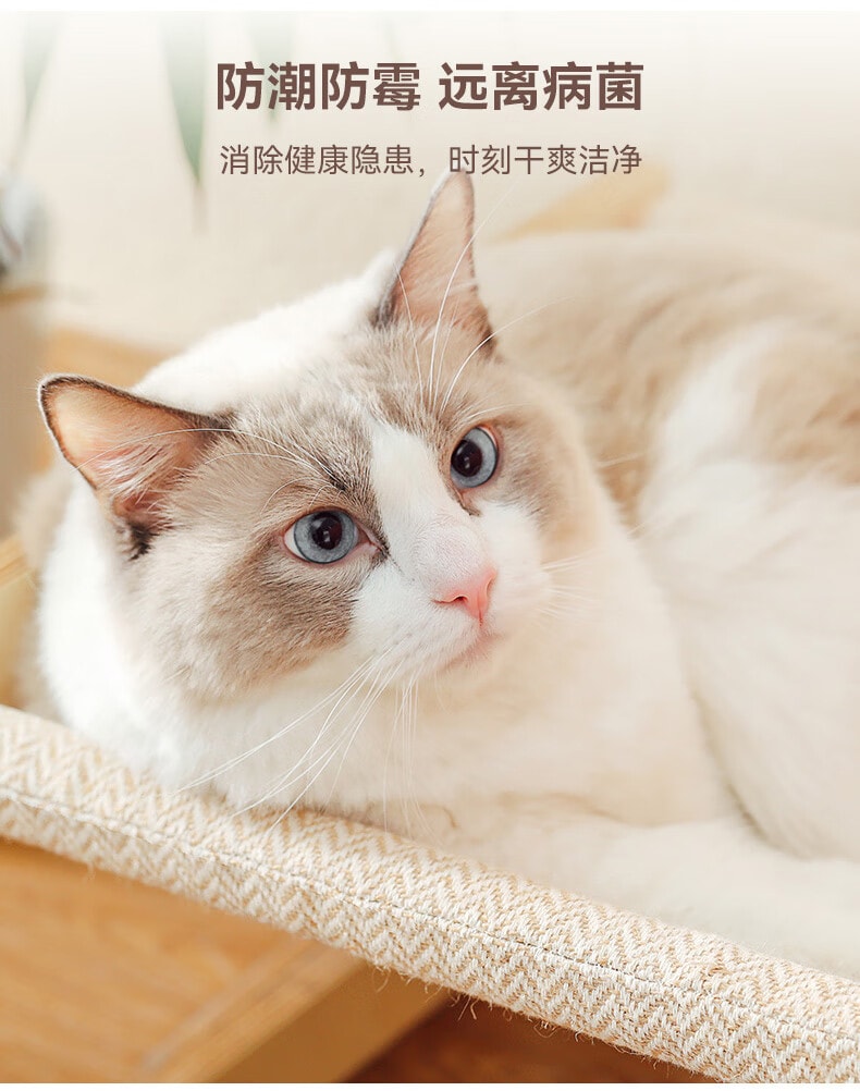 中国 福丸 悬空摇篮桦木方形宠物床
