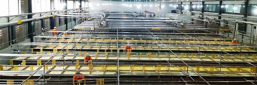 時樸 石屏豆腐皮 200g【零添加 富含蛋白質】