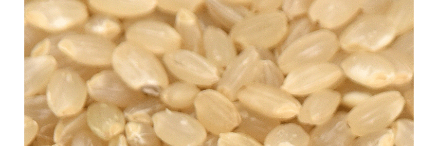 日本 錦米 最高級特選玉錦玄米 糙米 2kg 【健康首選】