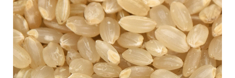 日本 錦米 最高級特選玉錦玄米 糙米 2kg 【健康首選】