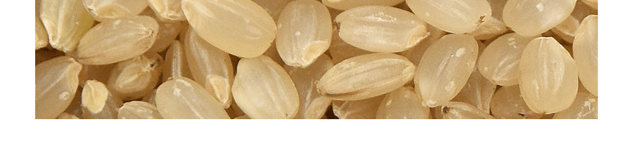 日本 錦米 最高級特選玉錦玄米 糙米 2kg 【健康首選】