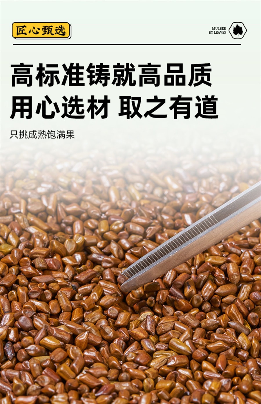 【中國直郵】岷農人 決明子茶250g正品炒熟決明子茶散裝中藥材決明子