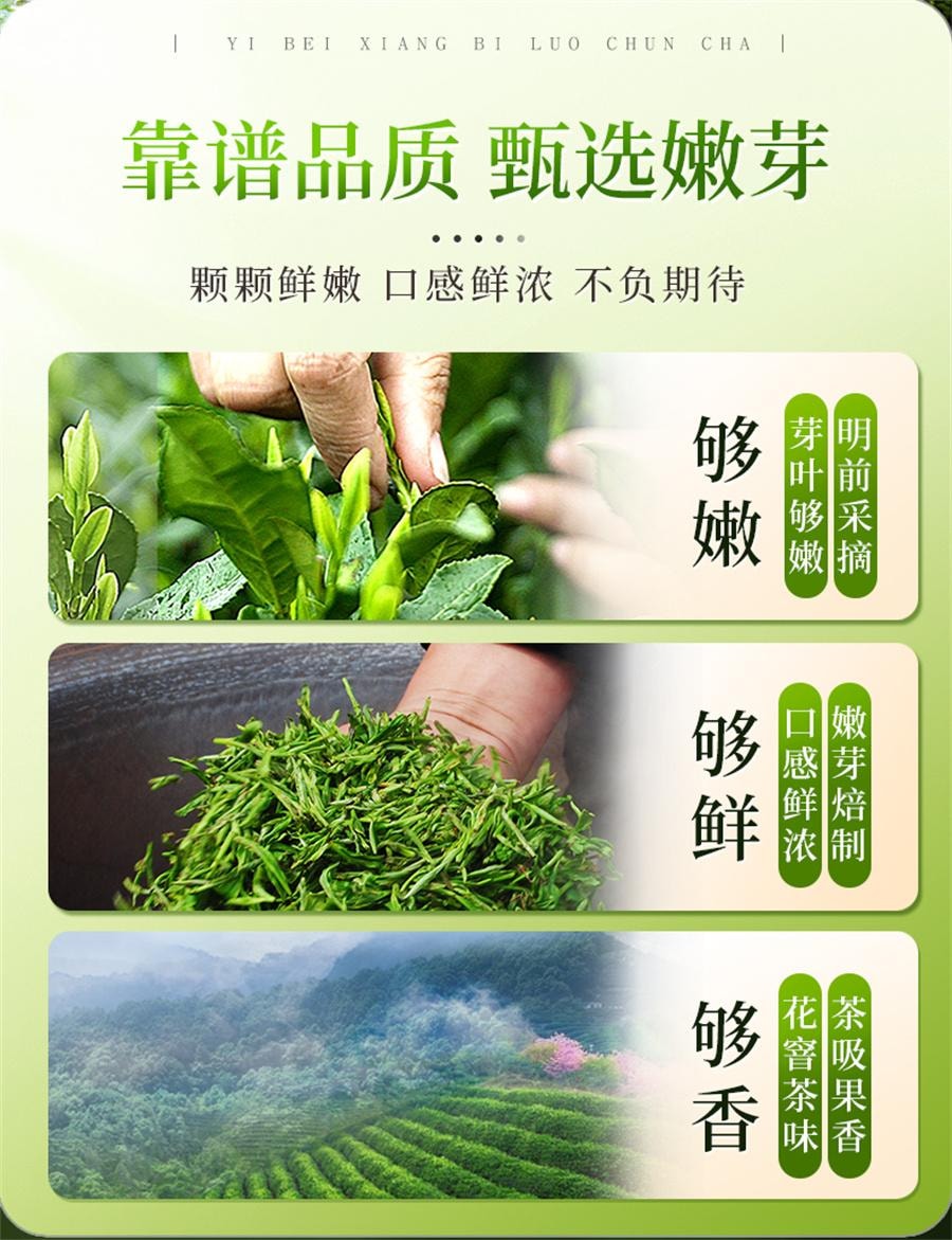 【中国直邮】 一杯香 明前碧螺春茶叶绿茶春茶自己喝新茶浓香  250g/罐