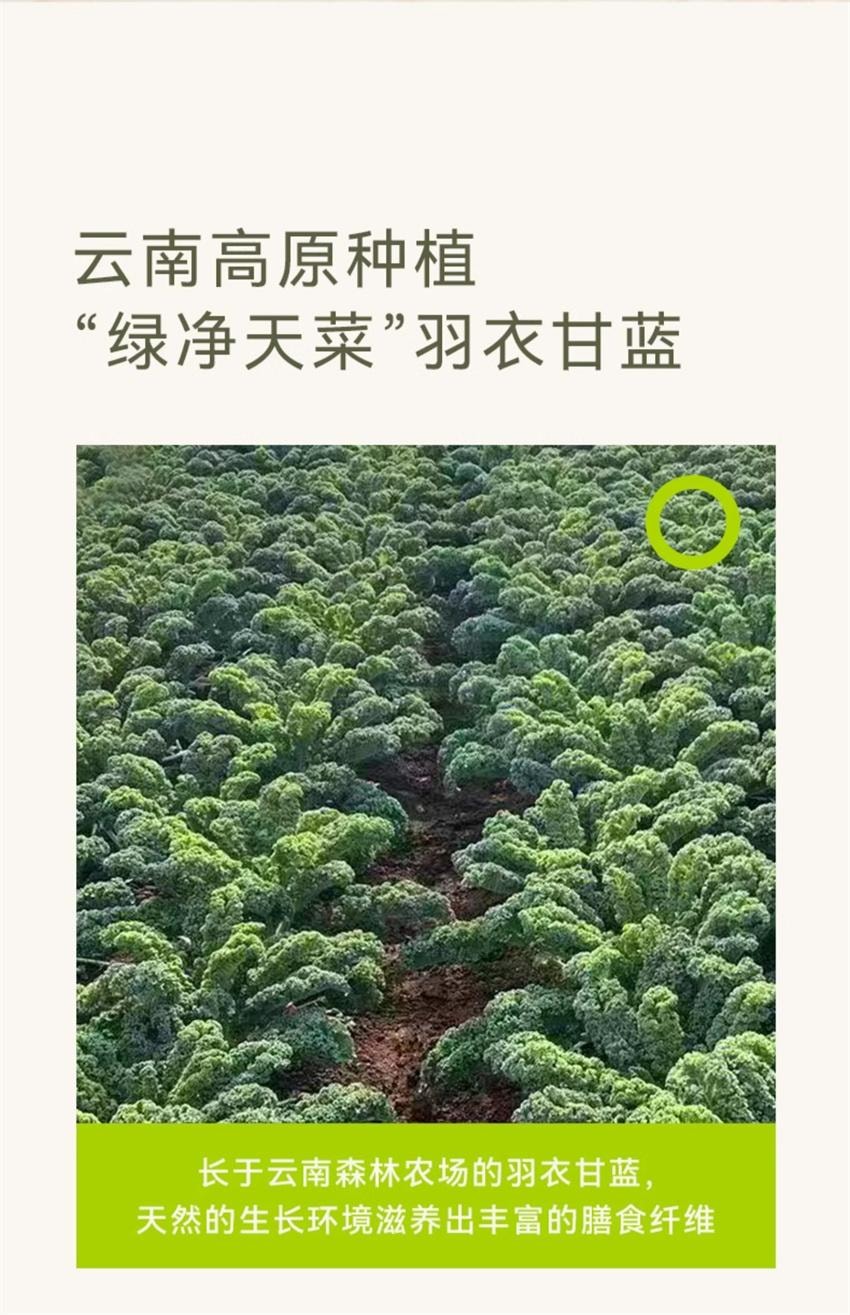 【中国直邮】 哦唛福 冻干羽衣甘蓝针叶樱桃粉 膳食纤维健身代餐饱腹食品青汁果蔬菜粉 3g*10条/盒