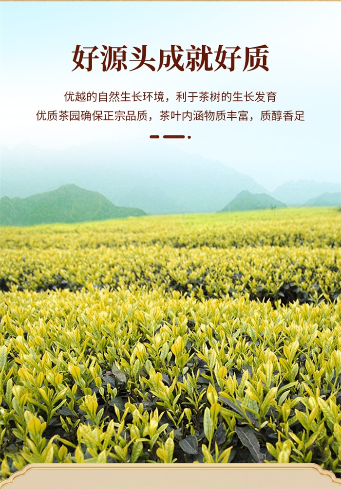 【中國直郵】一杯香 黃金芽 安吉茶葉 色澤黃潤 茶毫豐富 125g/盒