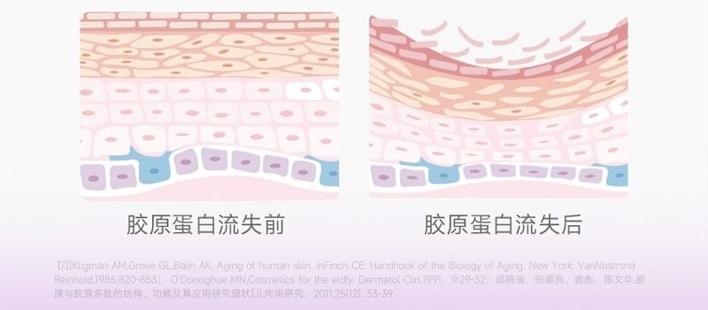 五个女博士 胶原蛋白肽维c饮2.0-小分子促进胶原吸收便携装30ml*3袋入