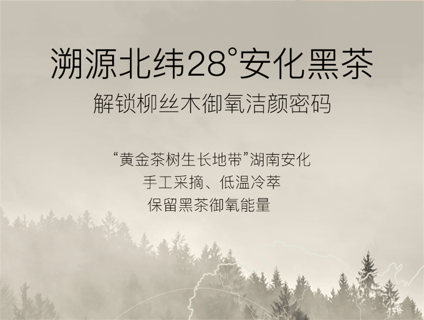 【中國直郵】 柳絲木 黑茶柔潤洗面乳 溫和潔淨氨基酸綿密泡沫敏肌適用 滋潤保濕 養膚加乘 100g/支