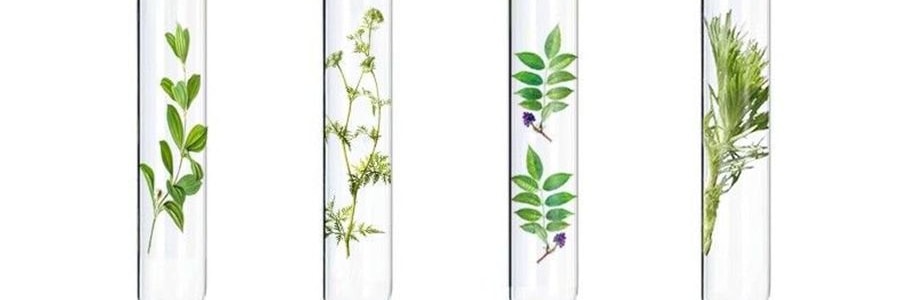 妇炎洁 女性私处护理液 私密部清洁液 植物本草抑菌洁阴清洗液 380ml