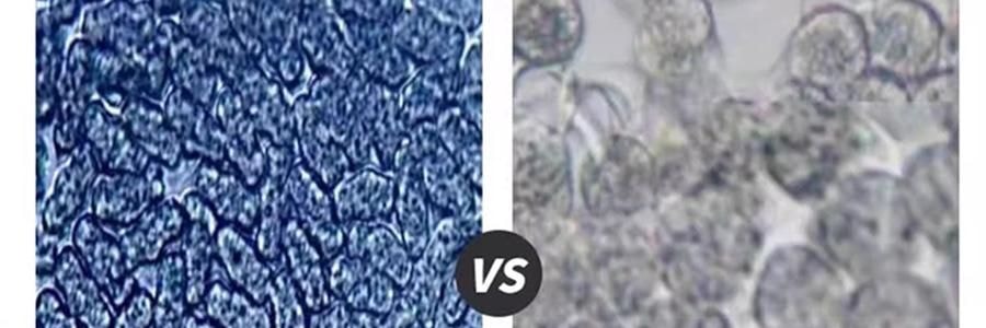 觅橘 长袍款防晒衣 夏季防晒防晒黑 自带可拆卸大帽檐 气质灰