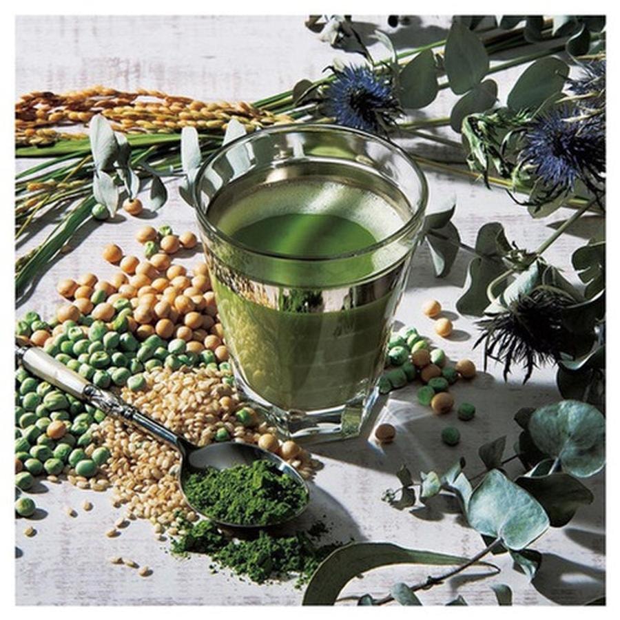 【日本直郵】 日本 Esthe Pro Labo 高端健康內服明星產品 植物蛋白粉 抹茶口味 20袋入 530g